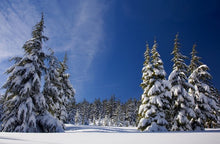 Load image into Gallery viewer, Nordic Winter Boot Socks- Fiery Fjord